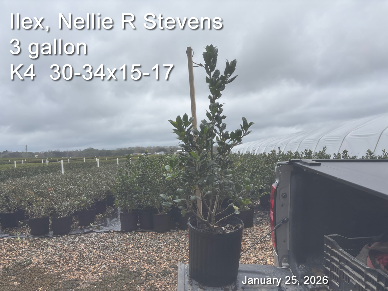 gallery/nrs3 k4 jan25B.jpg